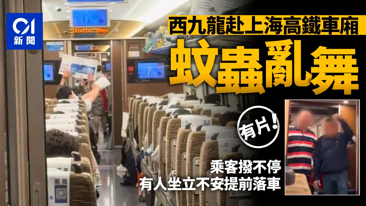 高鐵車廂內乘客驅趕蚊蟲