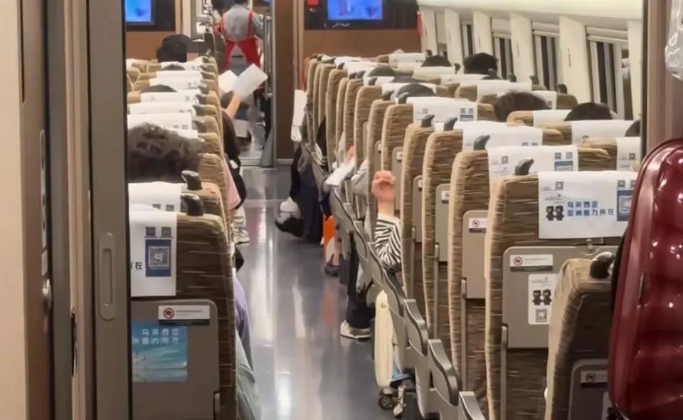 高鐵車廂內蚊蟲問題